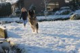 /album/sneeuwpret/a014-2-jpg/